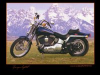 Harley Davidson, 18 марта 1984, Новосибирск, id7190246